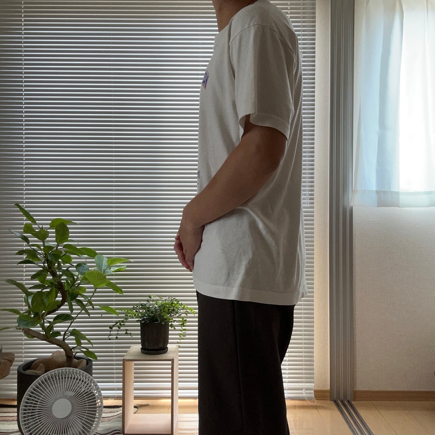 1980's SCREEN STARS usa製 T-shirts