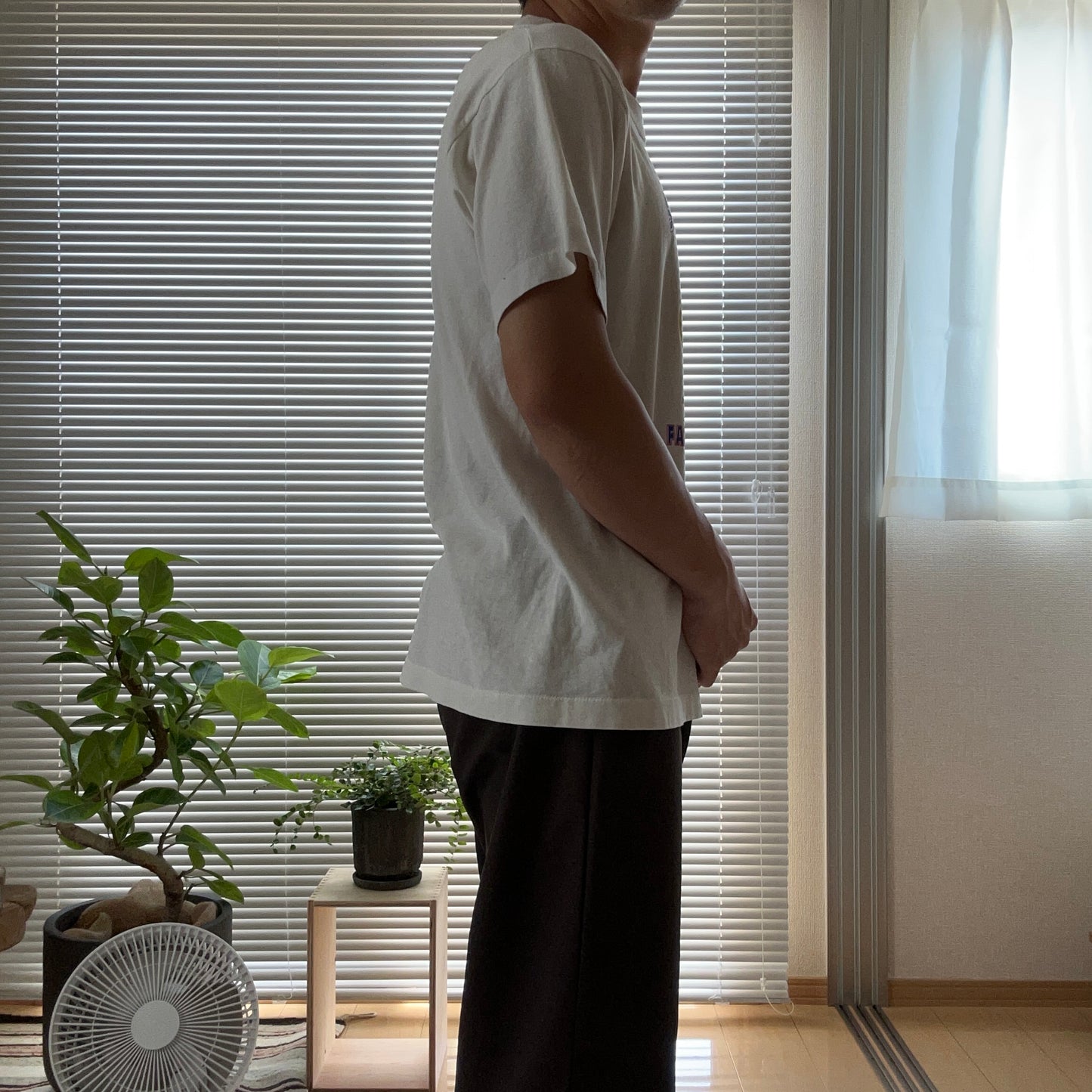 1980's SCREEN STARS usa製 T-shirts